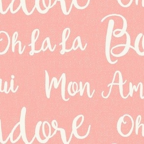 Oh La La Paris - French Text Pink Ivory Large Scale