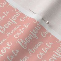 Oh La La Paris - French Text Pink Ivory Small Scale