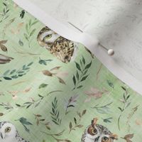 small scale owl green linen