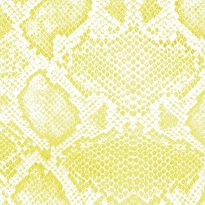 Snake skin texture albino yellow