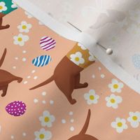 Dachshund floral doxie fabric Easter dachshunds design cute doxie dog - peach