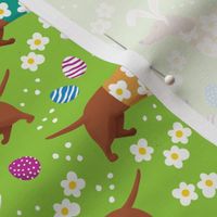 Dachshund floral doxie fabric Easter dachshunds design cute doxie dog - green