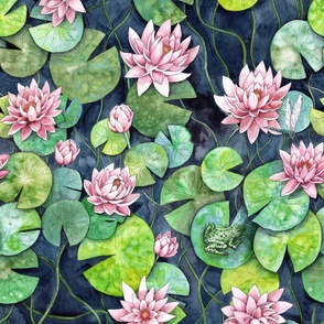 Lillypad, Waterlillies watercolor