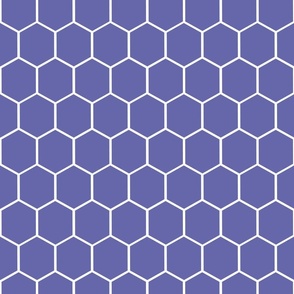 2" Honeycomb Hexagon Pattern | Very Peri