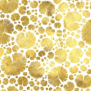 Abstract Pattern of Golden Leaves White Background