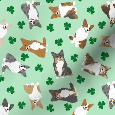 Tiny Welsh Corgi assorted - shamrocks