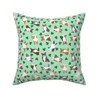 Tiny Welsh Corgi assorted - shamrocks