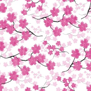 sakura blossoms pink on white large scale