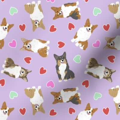 Tiny Pembroke Welsh Corgi - Valentine hearts