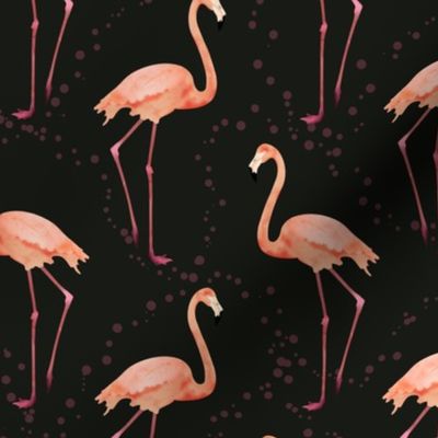 Elegance of flamingos walking in a flock