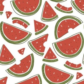 Watermelon juicy summer fruit