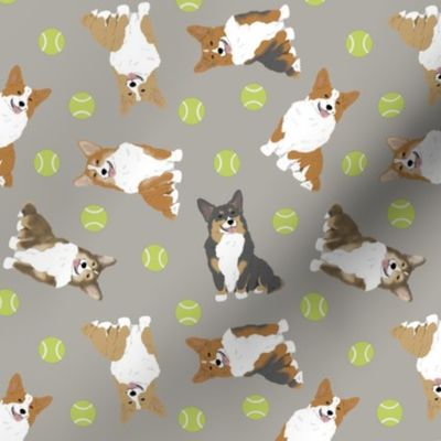 Tiny tailed Pembroke Welsh Corgi - tennis balls