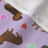 Tiny Smooth Dachshunds - Valentine hearts