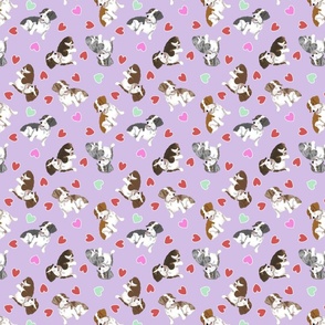 Tiny piebald Wirehaired Dachshunds - Valentine hearts
