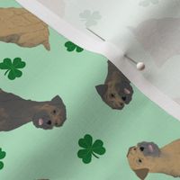 Tiny Border Terriers - shamrocks