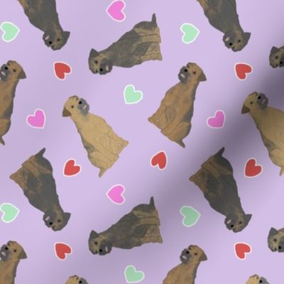 Tiny Border Terriers - Valentine hearts