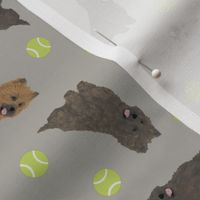 Tiny Cairn Terriers - tennis balls
