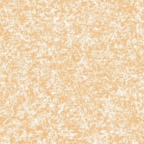 Rustic Pastel Orange Random Texture