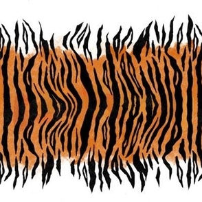 Tiger Stripe Horizontal 
