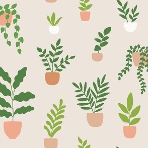 Minimal Houseplants - beige