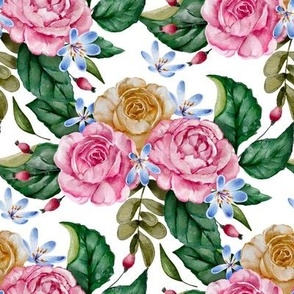 Watercolor rose flower