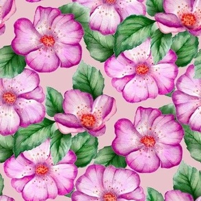 Watercolor rose hip flower