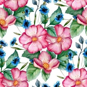 Watercolor rose hip flower