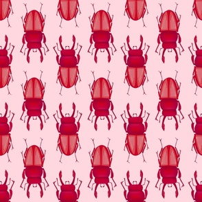 red beetle on pink medium illustration insect red pink 
