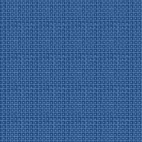 circle in a square _ blueberry _ grid _ blue