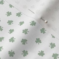 Little minimalist clovers green St Patrick's Day irish shamrock lucky charm sage mint green on white