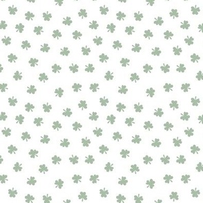 Little minimalist clovers green St Patrick's Day irish shamrock lucky charm sage mint green on white