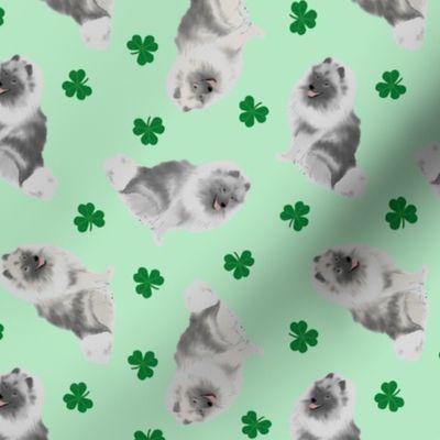 Tiny Keeshond - shamrocks