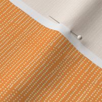 breadcrumbs _ cantaloupe _ dotted line _ orange