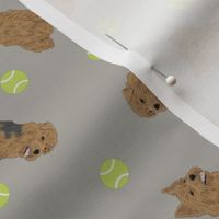 Tiny Terriers Norfolk & Norwich - tennis balls