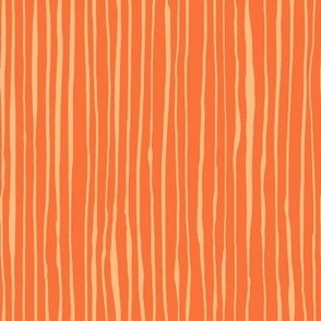 streaky stripes _ cantaloupe _ stripe _ orange
