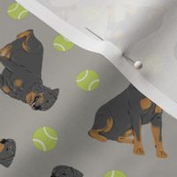 Tiny Rottweiler - tennis balls