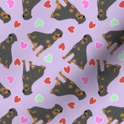 Tiny Rottweiler - Valentine hearts
