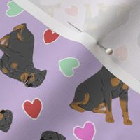 Tiny Rottweiler - Valentine hearts
