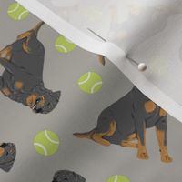 Tiny tailed Rottweiler - tennis balls