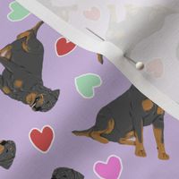Tiny tailed Rottweiler - Valentine hearts