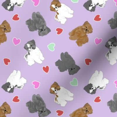 Tiny puppy cut Shih Tzus - Valentine hearts