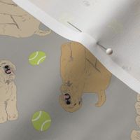 Tiny Wheaten Terrier - tennis balls