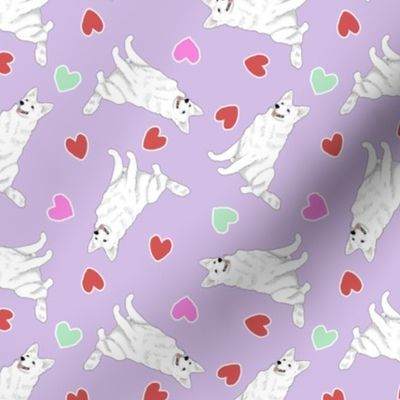 Tiny White Shepherd dogs - Valentine hearts