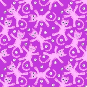 Flying pink kitties on magenta 