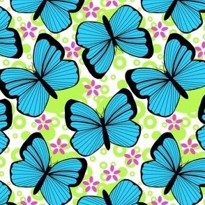 Smaller Blue Butterflies