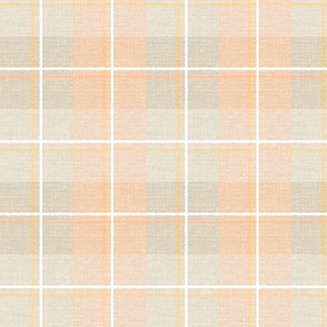 Peach Plaid Tartan_Iveta Abolina