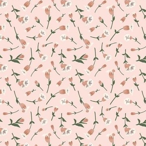Small Sea Campions Florals in Pink Background
