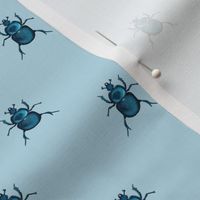 Blue beetles