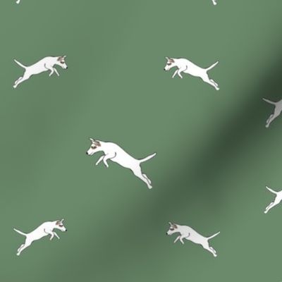 Parson Jack Russell Jumping-Green