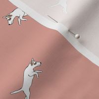 Parson Jack Russell Jumping-Pink 3